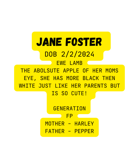 jane Foster DOB 2 2 2024 EWE LAMB The abolsute apple of her moms eye She has more black then white just like her parents but is so cute Generation FP Mother Harley Father Pepper