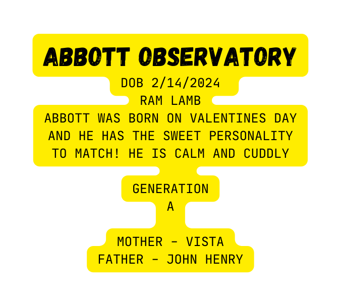 Abbott Observatory DOB 2 14 2024 RAM LAMB Abbott was born on Valentines day and he has thE sweet personality to match He is calm and cuddly GenEration A Mother Vista Father John Henry