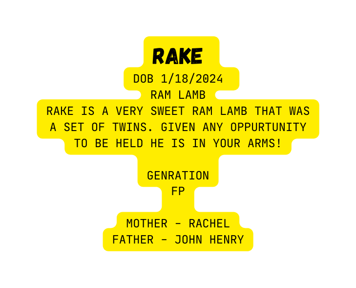 Rake DOB 1 18 2024 rAM LAMB Rake is a very sweet ram lamb that was a set of twins Given any oppurtunity to be held he is in your arms Genration FP Mother Rachel Father John Henry